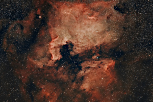 North America and Pelican Nebulae